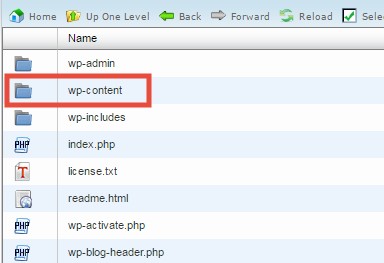 ‘wp-content’ folder