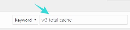 Type ‘W3 Total Cache’
