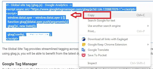 Copy the ‘Global Site Tag’