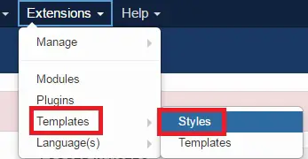 Click on the ‘Styles’ option