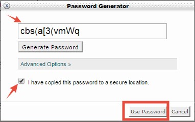 'Use Password' button