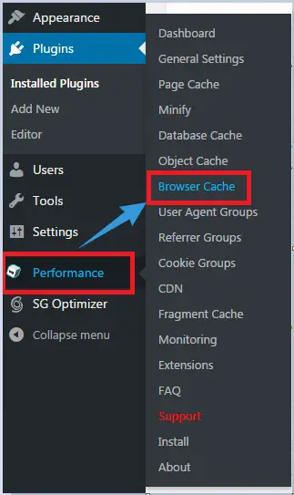 ‘Browser Cache’ option
