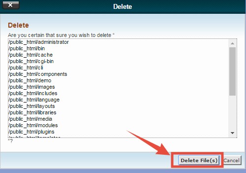 ‘Delete File(s)’ button
